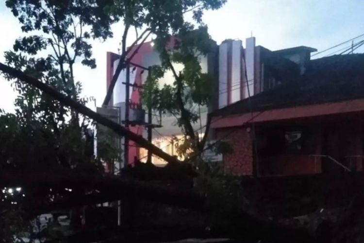 Sejumlah pohon tumbang hingga menutup jalan jalan protokol di kota Kendari, usai diterjang hujan deras dan angin kencang.