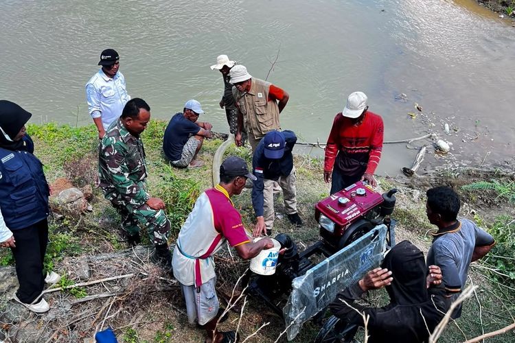 Ribuan Hektar Sawah di Luwu Kekeringan, Pemkab Bagi Pompa Air