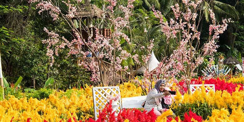 Spot foto berupa pohon sankura di Taman Ramadanu, Magelang.