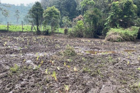 Buntut Kerusakan Ranca Upas, Aktivitas Motor Trail dan 