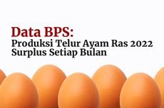 INFOGRAFIK: Kenaikan Tertinggi Harga Telur Ayam Saat Pasokannya Surplus