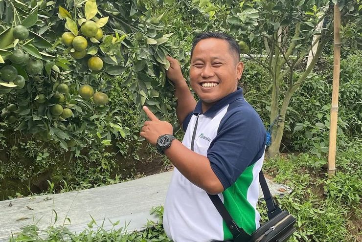 Kisah Narji Jadi Petani, Ini Komoditas yang Ditanam dan Pemasarannya