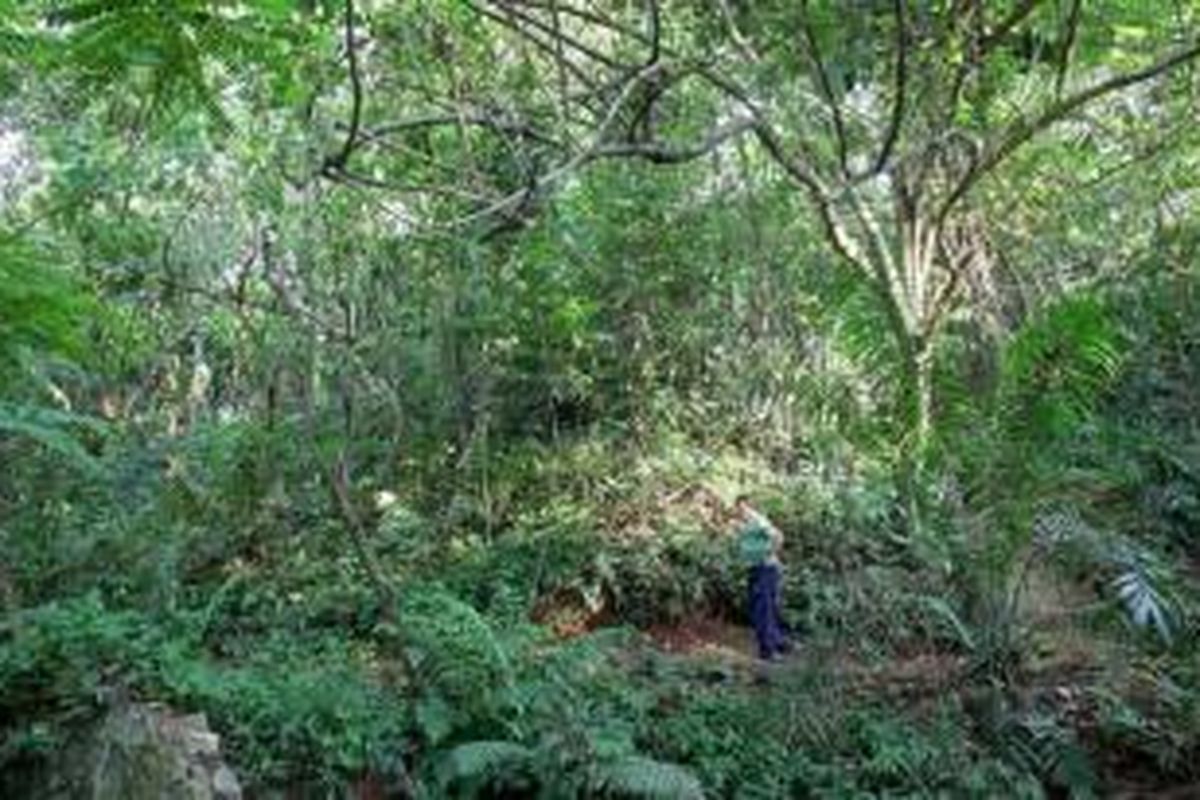 Warga menikmati keteduhan taman di hutan kota Sangga Buana, Karang Tengah, Lebak Bulus, Jakarta Selatan, Jumat (22/11). Hutan kota yang berada di pinggir Kali Pesanggrahan ini menjadi arena bermain dan rekreasi murah bagi warga sekitarnya.