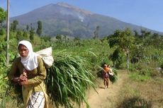 Empat Hari Kebakaran, 200 Hektar Hutan Gunung Sumbing Rusak