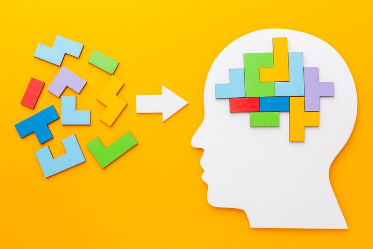 ilustrasi otak. 3 Kata Ajaib yang Sering Diucapkan Orang dengan Kecerdasan Emosional Tinggi Menurut Psikolog