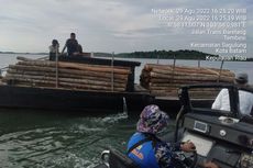 Angkut 200 Kayu Gelondongan Ilegal, Pria Ini Ditangkap di Perairan Batam