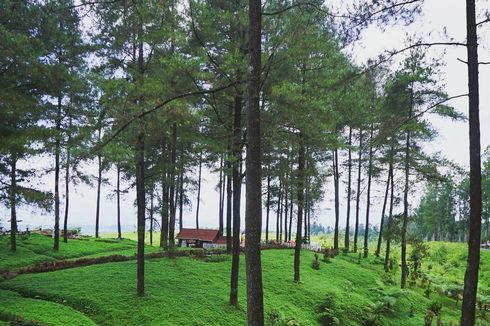 Tempat Wisata KPH Banyumas Timur Tutup Saat Jateng di Rumah Saja