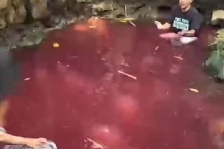 Mata Air Mendadak Merah di Gunung Sindur Bogor, DLH: Jangan Kaitkan dengan Hal Gaib