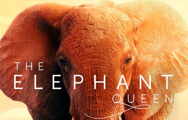 Poster film The Elephant Queen