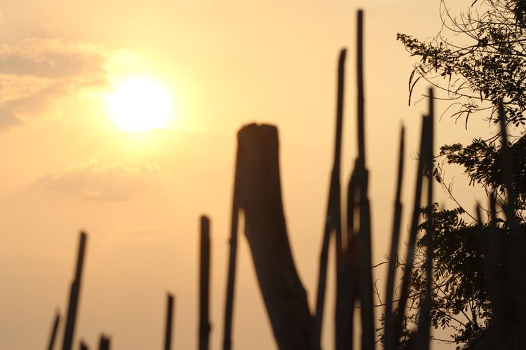Perempuan, anak-anak, dan masyarakat miskin jadi kelompok paling terdampak bencana iklim yang melanda dunia sepanjang 2025.