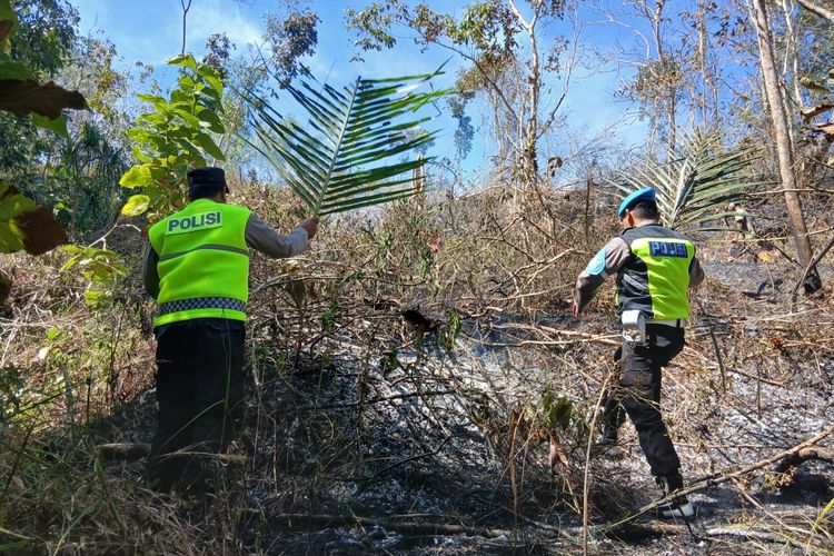 Niat Bersihkan Sampah Malah Bikin Petaka, Lahan Pekarangan 1,3 Hektare di Kebumen Ludes Terbakar