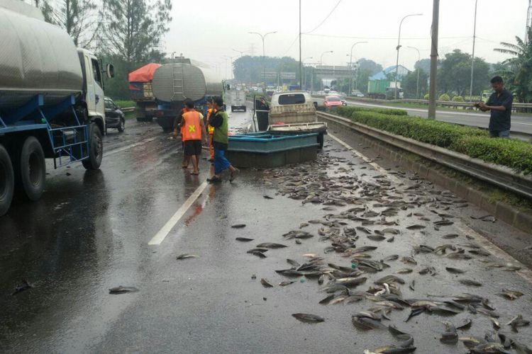 Sebuah mobil pick-up bermuatan lele hidup terguling di Tol Jakarta Outer Ring Road (JORR) Cikunir KM 46 arah Bintara, Bekasi pada JUmat (17/3/2017).