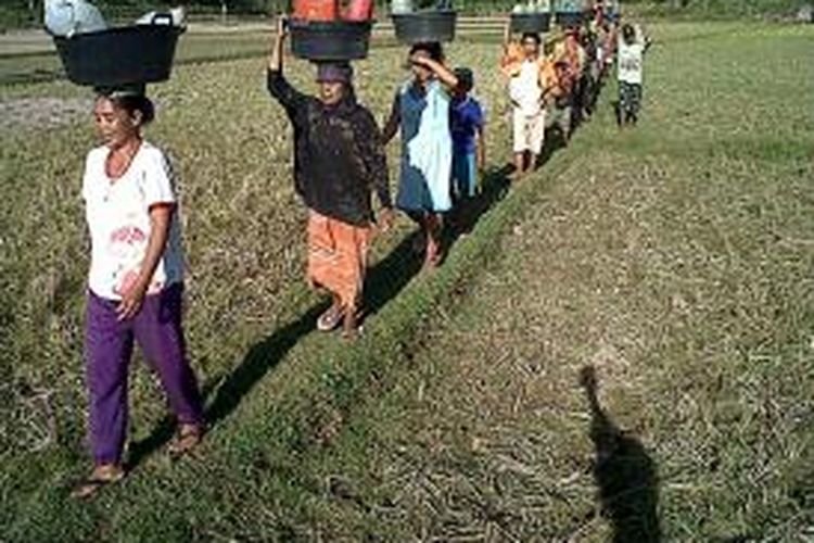 Ratusan warga di Kabupaten Bone, Sulawesi Selatan berjalan kaki melewati persawahan tandus demi untuk mendapatkan air untuk dikonsumsi. Kamis, (12/09/2013).