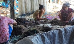 Dorong Hilirisasi, Bappenas Luncurkan Peta Jalan Pembangunan Rumput Laut Terintegrasi 2026–2030