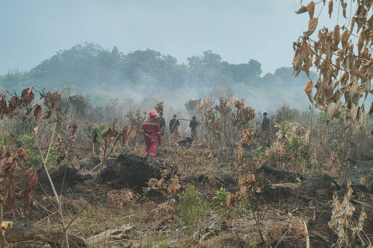 Petugas gabungan berjibaku memadamkan api karhutla di lahan milik Polda Riau di Desa Karya Indah, Kecamatan Tapung, Kabupaten Kampar, Riau, Selasa (8/8/2023).