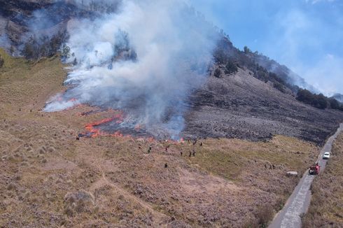 Kebakaran Lahan di Taman Nasional Bromo Tengger Semeru, Padam dalam 5 Hari