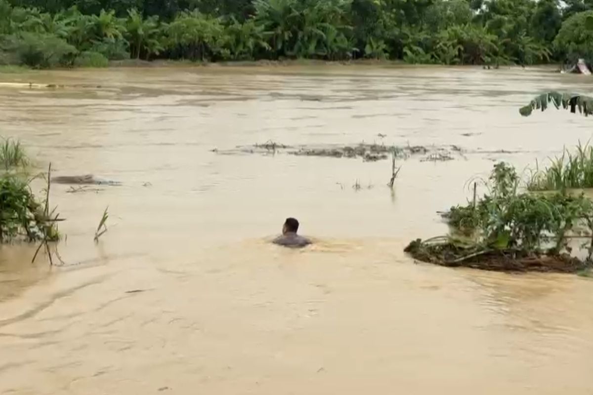 Personel Polresta Deli Serdang, Briptu Johannes Abdi Sibarani, saat menceburkan diri ke lokasi banjir untuk menyelamatkan seorang lansia, Rabu (27/11/2024).