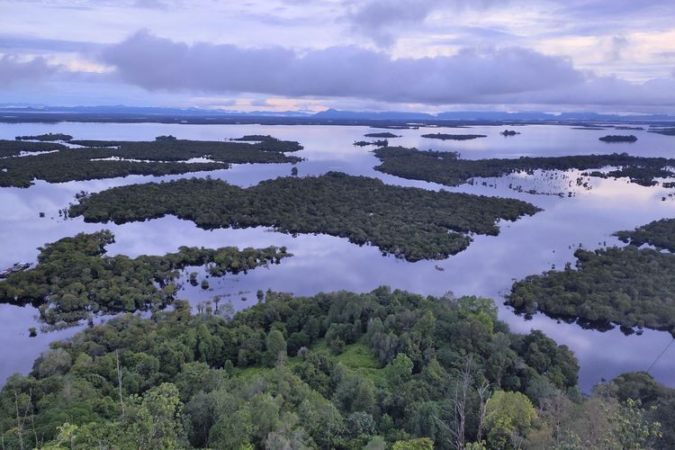 Danau Sentarum di Provinsi Kalimantan Barat, tepatnya di Kabupaten Kapuas Hulu.