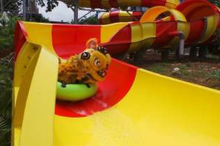 Barongsai meluncur dari wahana Drahon Slide Ocean Water Adventure Taman Impian Jaya Ancol, Jakarta, Senin (8/2/2016). Barongsai tersebut ditampilkan oleh Perguruan Cetiya Kusala Cetana berasal dari Desa Tegal Angus, Kecamatan Teluk Naga, Kota Tangerang, Banten. 