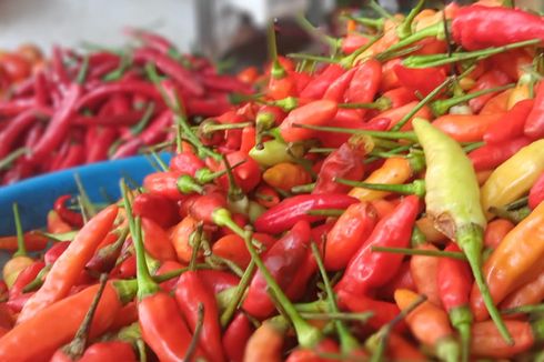 Jadwal Panen dan Cuaca Ekstrem di Banyuwangi Jadi Penyebab Harga Cabai Melonjak