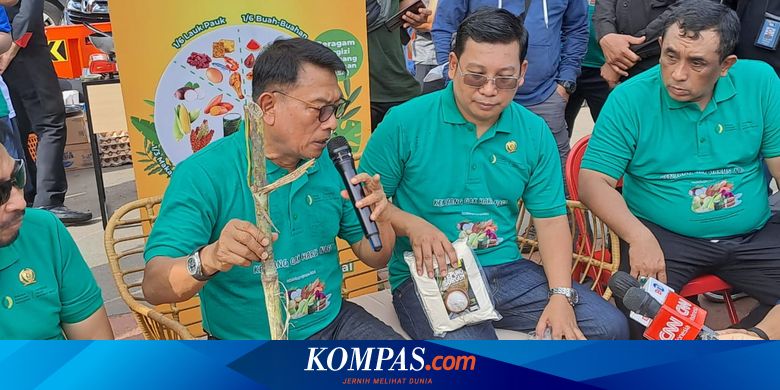 Saya Kurang Setuju Impor Beras, tetapi...