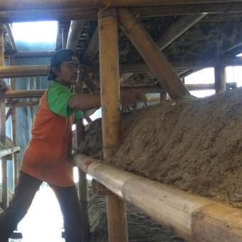 Seorang pegawai sedang menata limbah serabut aren sebelum diberi bibit jamur merang di kumbung di Dusun Sarayuda, Desa Kertaharja, Kecamatan Cijeungjing, Kabupaten Ciamis, Selasa siang (5/7/2022).
