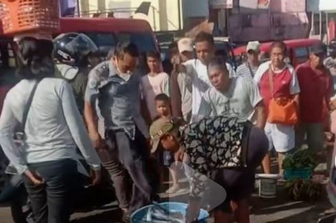 Viral, Video Oknum Petugas Dishub Ambon Tendang Ikan Pedagang hingga Jatuh di Jalan, Kini Berdamai