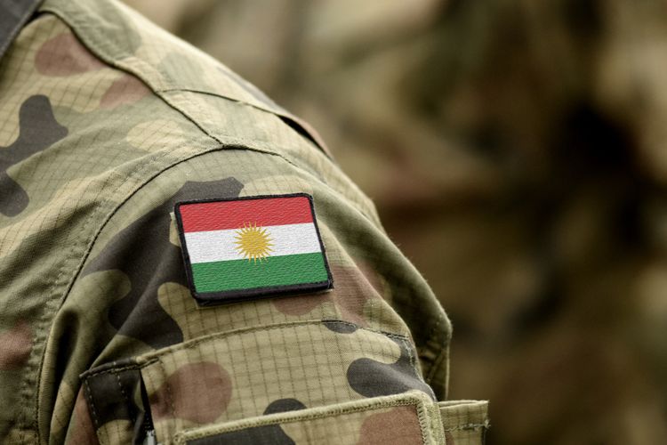 Ilustrasi Peshmerga Kurdi