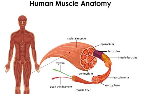 Dokter UGM: Ini 4 Tipe Penyakit Otot atau Spinal Muscular Atrophy