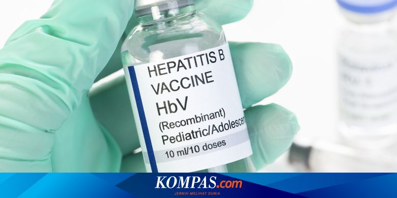 Update Kasus Hepatitis Akut: 15 Kasus Di 5 Daerah, Mana Saja? Halaman All -  Kompas.com