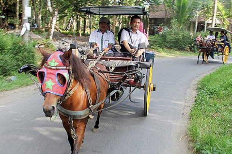 Sejumlah wisatawan menaiki andong untuk berwisata keliling Desa Wanurejo, Kecamatan Borobudur, Kabupaten Magelang, Jawa Tengah, Senin (28/12/2015). Wanurejo merupakan salah satu desa di sekitar Candi Borobudur yang menawarkan paket wisata untuk menarik turis yang berkunjung ke Borobudur.