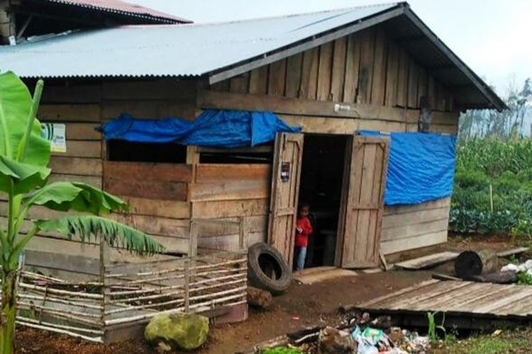Pengungsi erupsi Gunung Sinabung membuka permukiman dan lahan pertanian di kawasan Tahura Bukit Barisan dan TNGL di wilayah Kabupaten Karo dan Langkat, Kamis (16/2/2017)