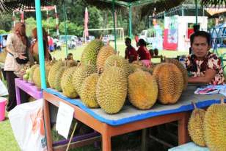 Buah durian khas Candimulyo, Kabupaten Magelang.