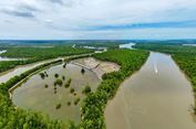 Saat Mangrove Menjadi Penopang Ekonomi dan Harapan Baru Warga Pesisir