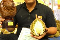 Durian Si Pandan, Kecil tapi Lezat...