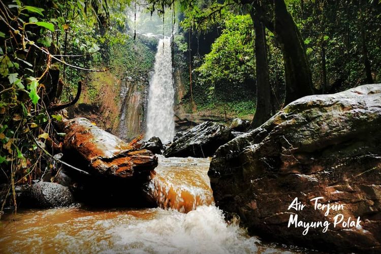 Air Terjun Mayung Polak atau Timbanuh di kawasan Taman Nasional Gunung Rinjani, NTB.