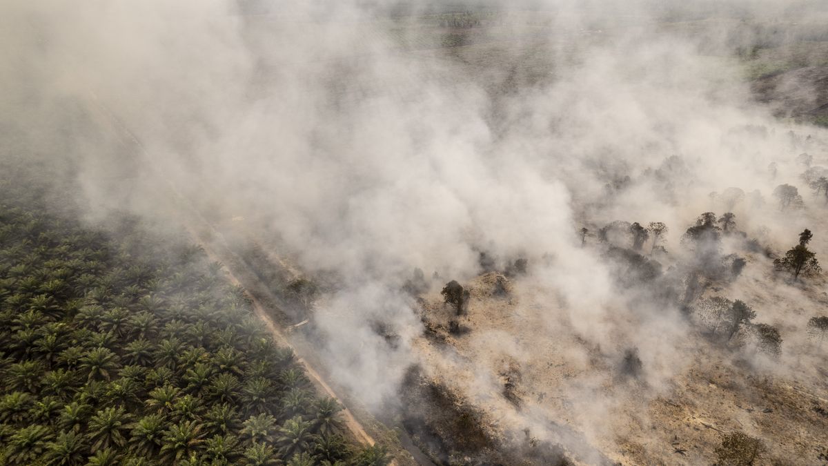"Follow the Money" in "Ecological Terrorism"