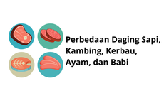 Perbedaan Daging Sapi, Kambing, Kerbau, Ayam, dan Babi