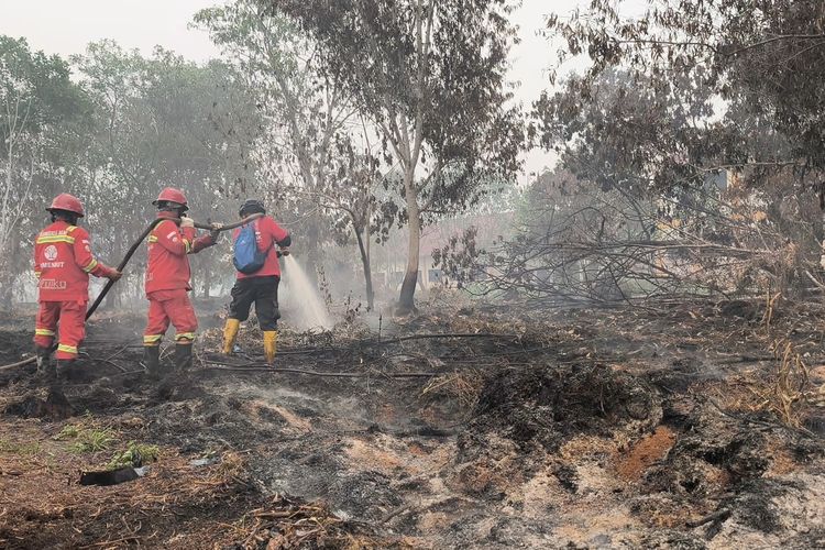 112 Orang Jadi Tersangka Karhutla, Polisi Ungkap Modus Pembukaan Lahan