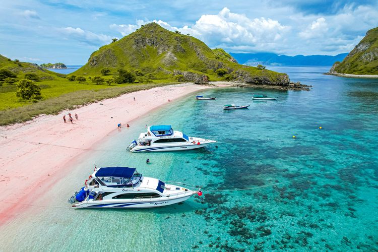 Ilustrasi Pink Beach di Nusa Tenggara Timur (NTT).