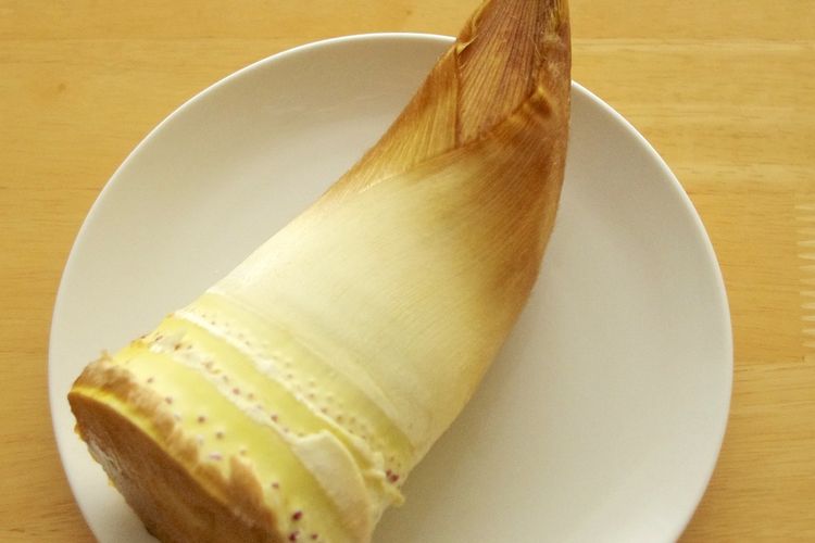 Ilustrasi rebung bambu. 