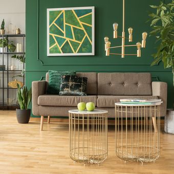 Ilustrasi ruang tamu dengan nuansa warna hijau.