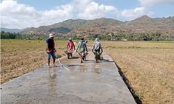 Jalan Usaha Tani Perluas Jangkauan Pasar Petani di Kabupaten Bima