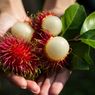 Apakah Buah Rambutan Tinggi Gula? Ini Ulasannya...