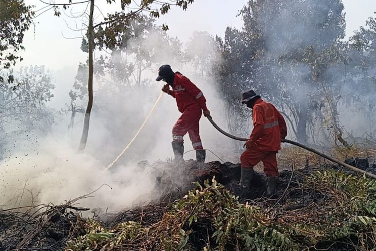 Pemudik Keluhkan Asap Karhutla di Jalan Lintas Riau-Sumut, Jarak Pandang 10 Meter