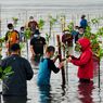 Jokowi Targetkan Penanaman Mangrove 600.000 Hektar hingga 2024