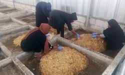 Sampah Organik MBG Jadi Sumber Ekonomi Tambahan Pemulung di Duren Sawit