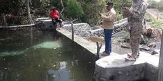 Atasi Kesulitan Air, Kementan Bangun Dam Parit di Dua Desa di Bima
