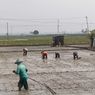 Beralih ke Pertanian Organik, Petani di Blora Tak Khawatir soal Biaya Tanam dan Harga Jual