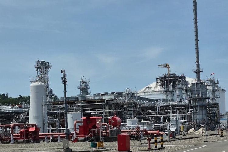 DSLNG Siap Olah Tambahan Gas Tanpa Perlu Bangun Train Baru